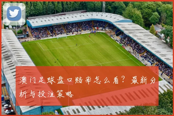 澳门足球盘口赔率怎么看?最新分析与投注策略