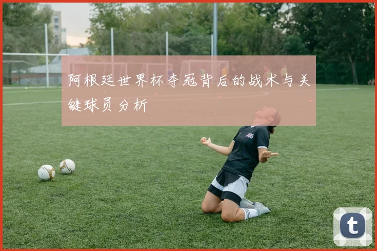 阿根廷世界杯夺冠背后的战术与关键球员分析