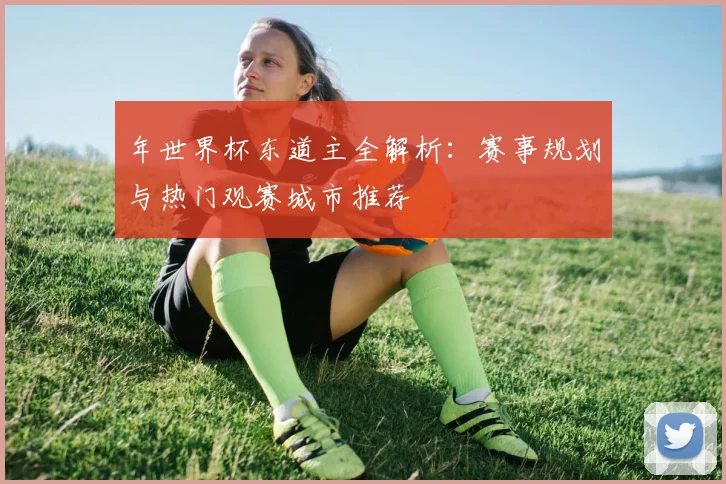 年世界杯东道主全解析:赛事规划与热门观赛城市推荐